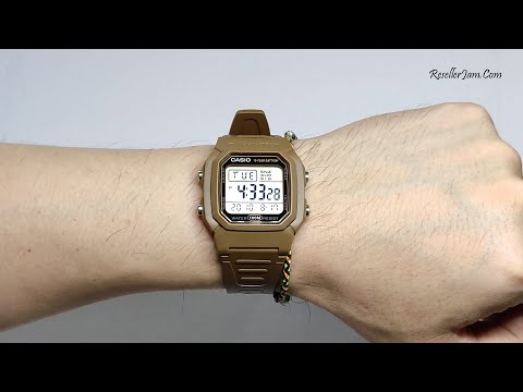 casio w800h-5a — صورة 3